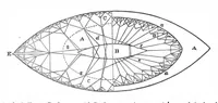 Picture 12 of 13 from Scientific American, Vol. 29, No. 4 (July 1873) (1873), leaf 9