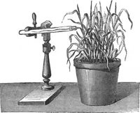 An illustration from Scientific American, Vol. 29, No. 15 (October 1873) (1873)