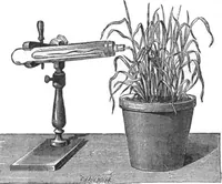 Picture 8 of 31 from Scientific American, Vol. 29, No. 15 (October 1873) (1873), leaf 4