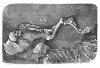 Picture 6 of 17 from Scientific American, Vol. 29, No. 16 (October 1873) (1873), leaf 4