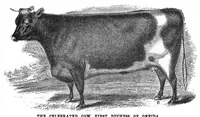 An illustration from Scientific American, Vol. 29, No. 17 (October 1873) (1873)