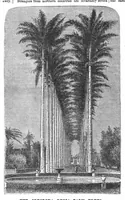 Picture 3 of 9 from Scientific American, Vol. 29, No. 24 (December 1873) (1873), leaf 4