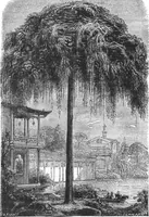 An illustration from Scientific American, Vol. 29, No. 26 (December 1873) (1873)