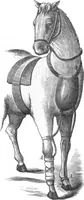 An illustration from Scientific American, Vol. 29, No. 26 (December 1873) (1873)