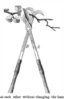 An illustration from Scientific American, Vol. 30, No. 3 (January 1874) (1874)