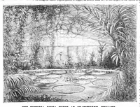 An illustration from Scientific American, Vol. 30, No. 10 (March 1874) (1874)