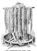 Picture 5 of 12 from Scientific American, Vol. 30, No. 12 (March 1874) (1874), leaf 4