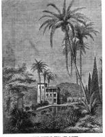 An illustration from Scientific American, Vol. 30, No. 20 (May 1874) (1874)