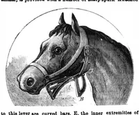 An illustration from Scientific American, Vol. 30, No. 21 (May 1874) (1874)