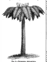 An illustration from Scientific American, Vol. 30, No. 21 (May 1874) (1874)
