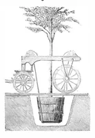 Picture 5 of 14 from Scientific American, Vol. 31, No. 4 (July 1874) (1874), leaf 4