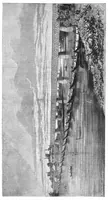 An illustration from Scientific American, Vol. 31, No. 5 (August 1874) (1874)