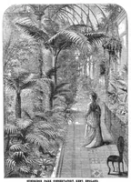 An illustration from Scientific American, Vol. 31, No. 5 (August 1874) (1874)