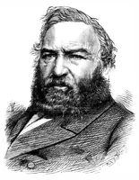 An illustration from Scientific American, Vol. 31, No. 7 (August 1874) (1874)