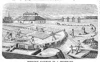 An illustration from Scientific American, Vol. 31, No. 9 (August 1874) (1874)