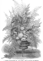Picture 9 of 10 from Scientific American, Vol. 31, No. 9 (August 1874) (1874), leaf 8