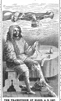 An illustration from Scientific American, Vol. 31, No. 10 (September 1874) (1874)