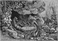 An illustration from Scientific American, Vol. 31, No. 12 (September 1874) (1874)