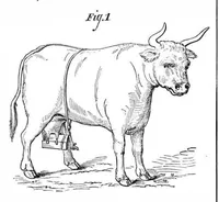 An illustration from Scientific American, Vol. 31, No. 16 (October 1874) (1874)