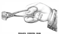 Picture 7 of 12 from Scientific American, Vol. 31, No. 22 (November 1874) (1874), leaf 7