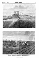 Picture 3 of 13 from Scientific American, Vol. 31, No. 23 (December 1874) (1874), leaf 4