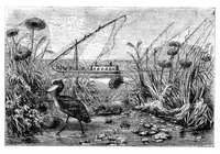 Picture 13 of 17 from Scientific American, Vol. 32, No. 2 (January 1875) (1875), leaf 8