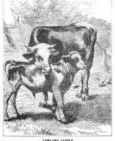 An illustration from Scientific American, Vol. 32, No. 5 (January 1875) (1875)