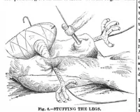 An illustration from Scientific American, Vol. 32, No. 11 (March 1875) (1875)