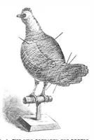 Picture 5 of 17 from Scientific American, Vol. 32, No. 11 (March 1875) (1875), leaf 1