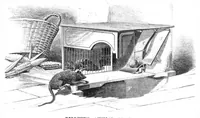 An illustration from Scientific American, Vol. 32, No. 11 (March 1875) (1875)
