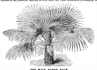 Picture 16 of 17 from Scientific American, Vol. 32, No. 11 (March 1875) (1875), leaf 8