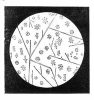 An illustration from Scientific American, Vol. 32, No. 12 (March 1875) (1875)