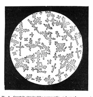 An illustration from Scientific American, Vol. 32, No. 12 (March 1875) (1875)