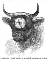 An illustration from Scientific American, Vol. 32, No. 16 (April 1875) (1875)