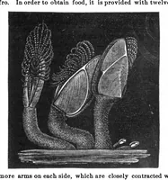 Picture 8 of 17 from Scientific American, Vol. 32, No. 17 (April 1875) (1875), leaf 4