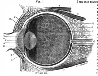 An illustration from Scientific American, Vol. 32, No. 17 (April 1875) (1875)