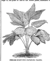 Picture 11 of 16 from Scientific American, Vol. 32, No. 19 (May 1875) (1875), leaf 6