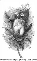 Picture 12 of 12 from Scientific American, Vol. 32, No. 22 (May 1875) (1875), leaf 8