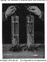 Picture 4 of 15 from Scientific American, Vol. 32, No. 24 (June 1875) (1875), leaf 3