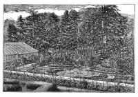 Picture 14 of 15 from Scientific American, Vol. 32, No. 24 (June 1875) (1875), leaf 8