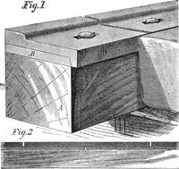 An illustration from Scientific American, Vol. 33, No. 2 (July 1875) (1875)