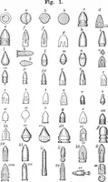 An illustration from Scientific American, Vol. 33, No. 2 (July 1875) (1875)
