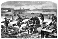 An illustration from Scientific American, Vol. 33, No. 3 (July 1875) (1875)