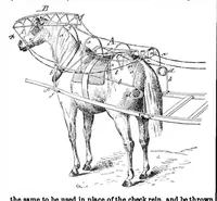 An illustration from Scientific American, Vol. 33, No. 5 (July 1875) (1875)