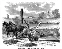An illustration from Scientific American, Vol. 33, No. 8 (August 1875) (1875)