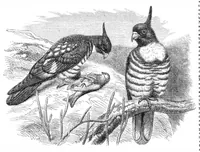 An illustration from Scientific American, Vol. 33, No. 15 (October 1875) (1875)