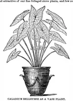Picture 12 of 16 from Scientific American, Vol. 33, No. 16 (October 1875) (1875), leaf 8