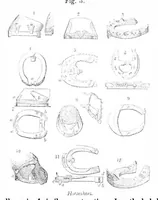 Picture 15 of 18 from Scientific American, Vol. 34, No. 2 (January 1876) (1876), leaf 9