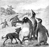 An illustration from Scientific American, Vol. 34, No. 6 (January 1876) (1876)