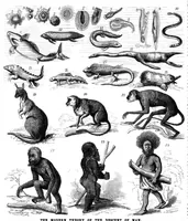 Picture 9 of 11 from Scientific American, Vol. 34, No. 11 (March 1876) (1876), leaf 8